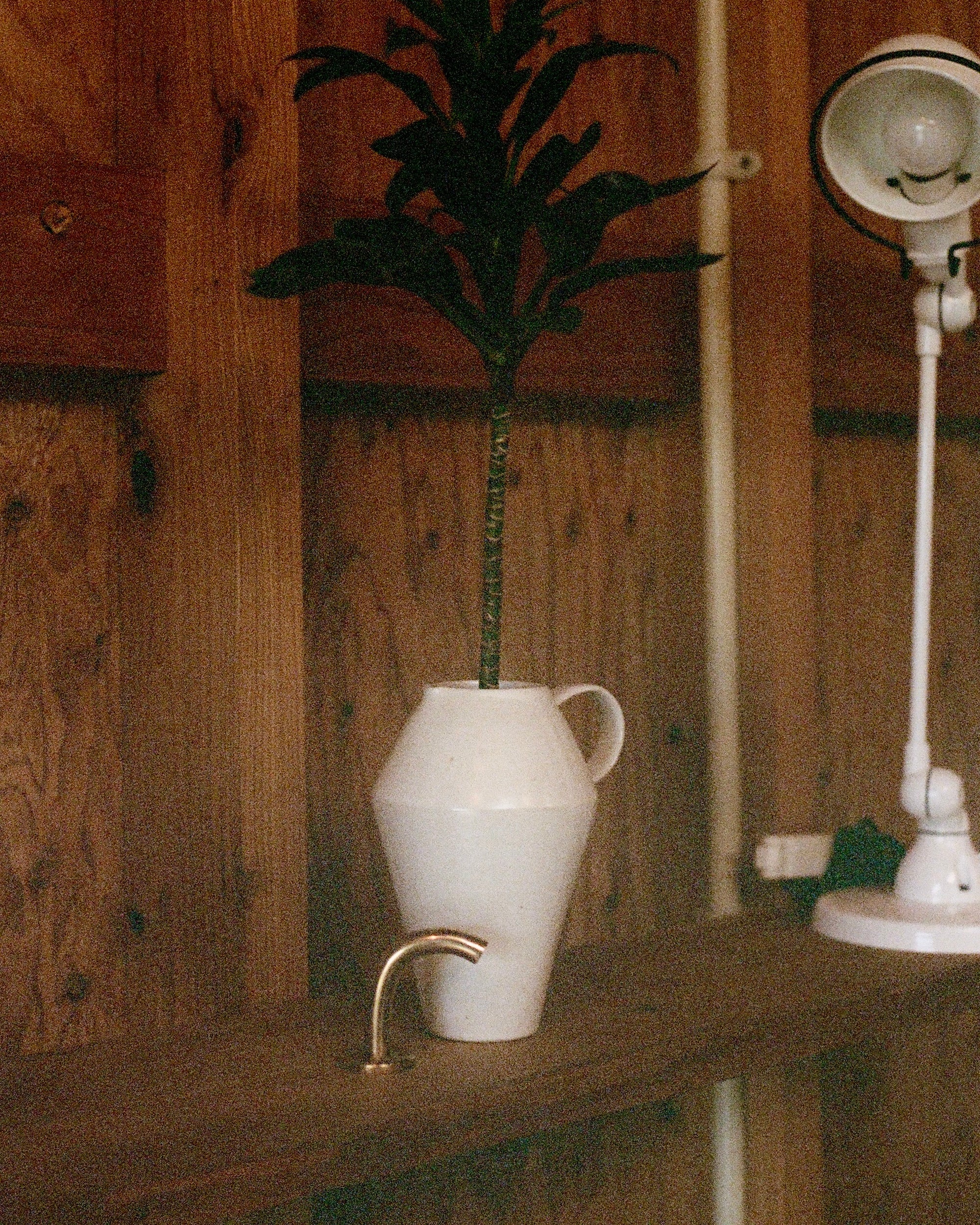 FAUNA Wall Hook