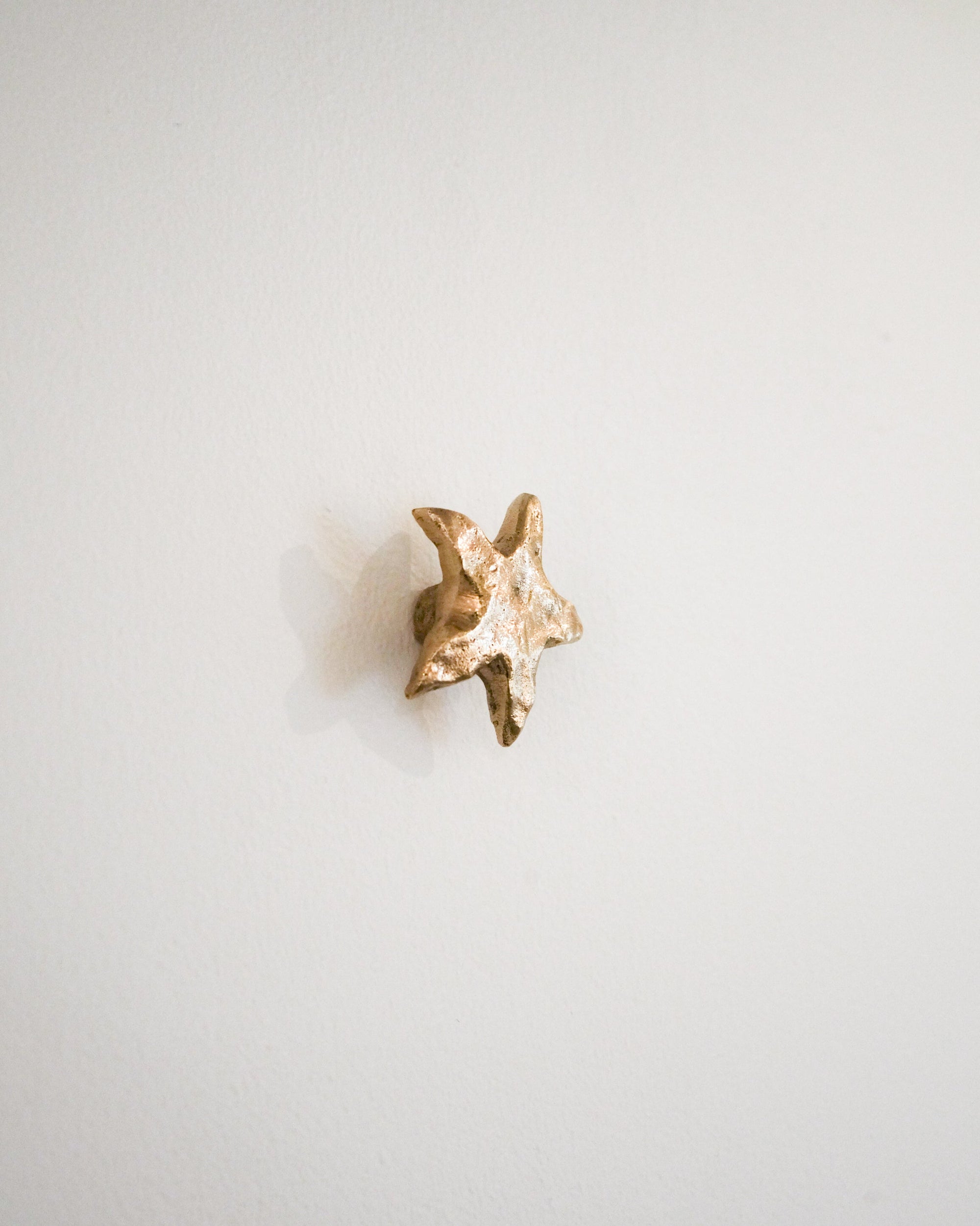 STAR Knob/Hook