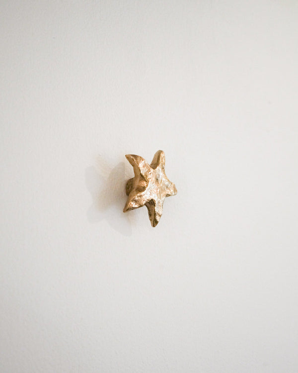 STAR Knob/Hook