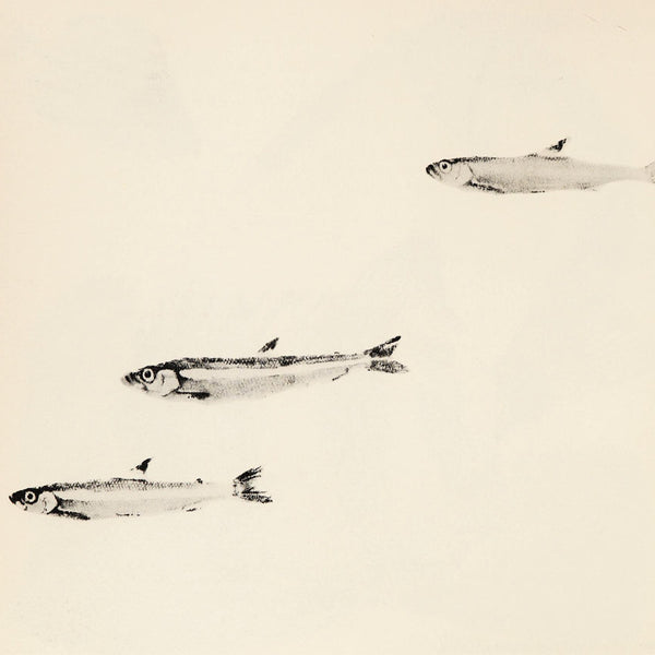 Main Image 1