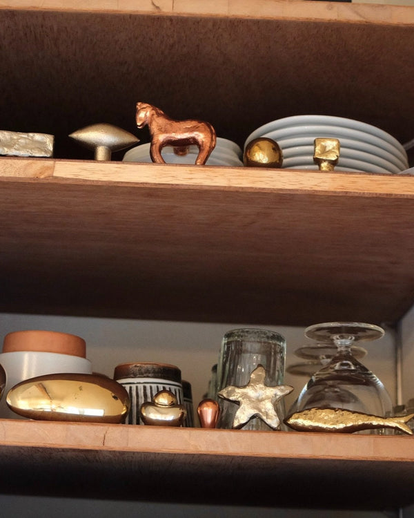 STAR Knob/Hook