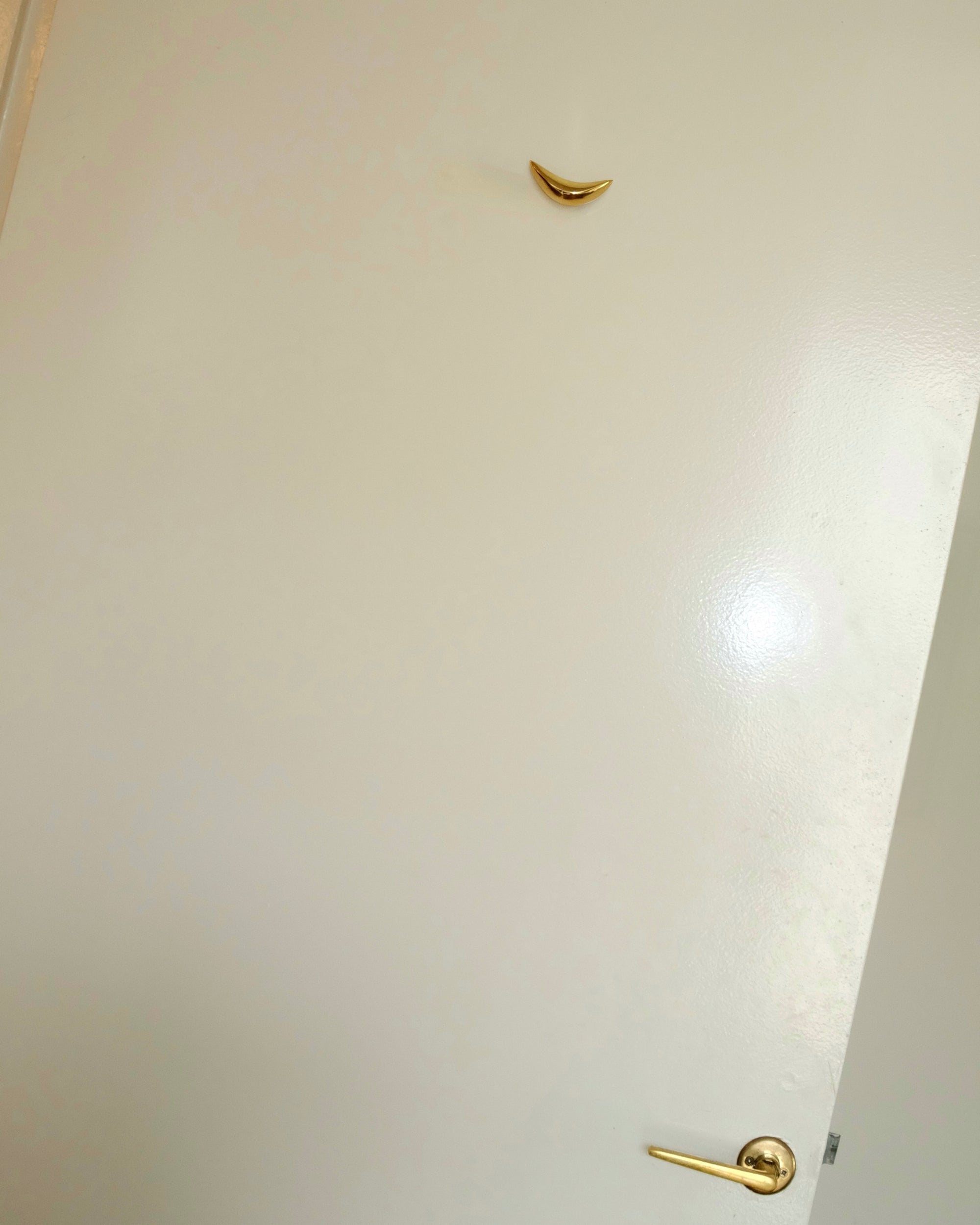 PETAL Knob/Hook