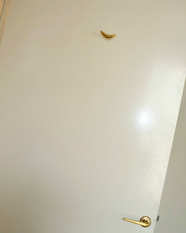 PETAL Knob/Hook
