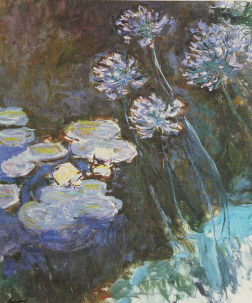 Main Image 3