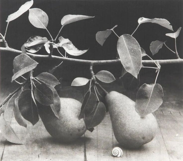 Main Image 1