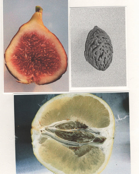 Main Image 3